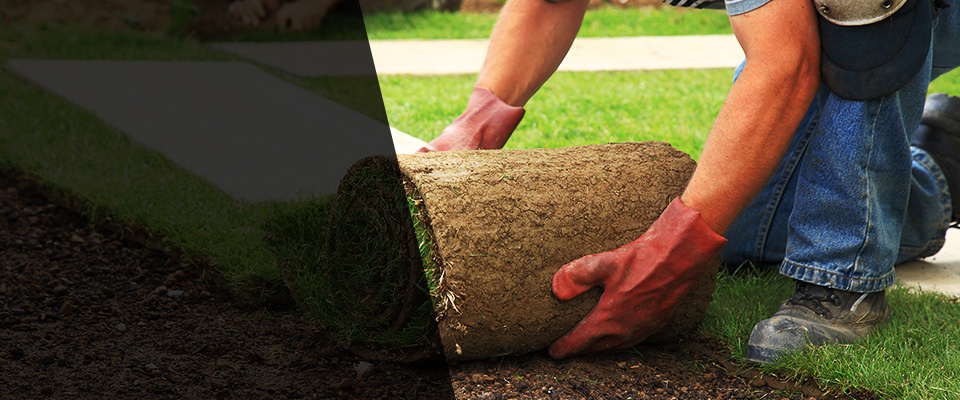 Forsyth Landscapers